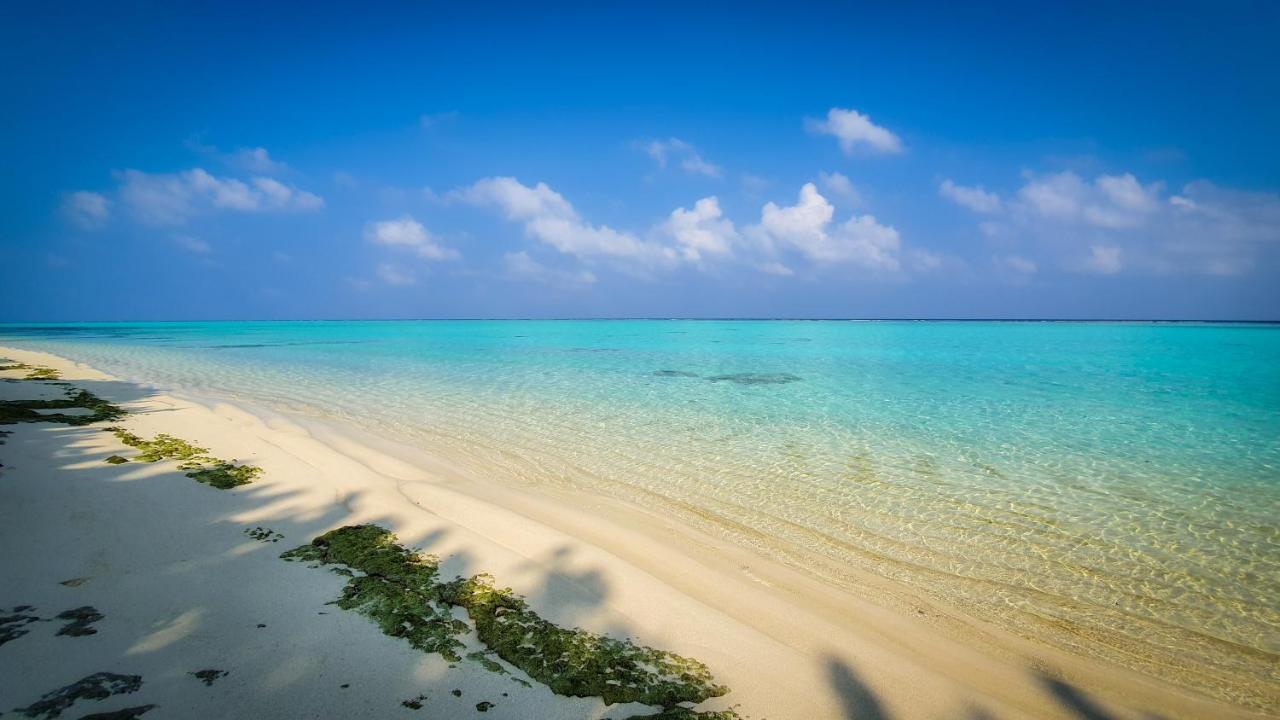 فندق نيو بريز ثودو إن المظهر الخارجي الصورة