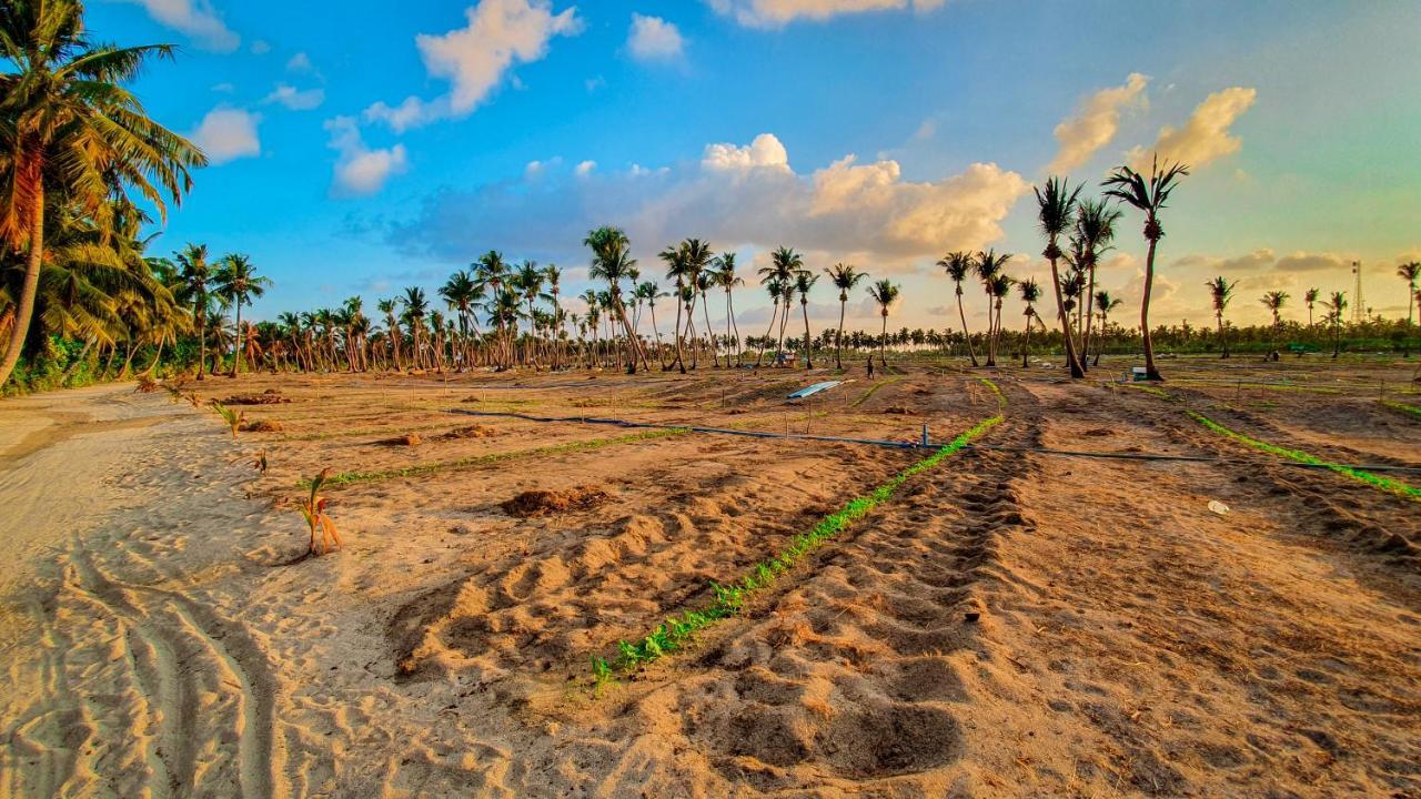 فندق نيو بريز ثودو إن المظهر الخارجي الصورة